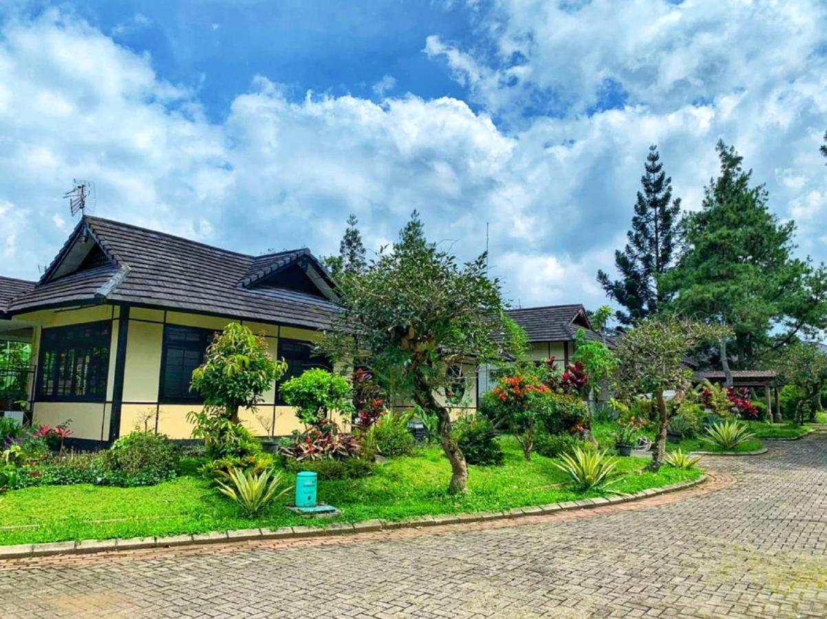 Designer Villa Osaka Пунчак Экстерьер фото