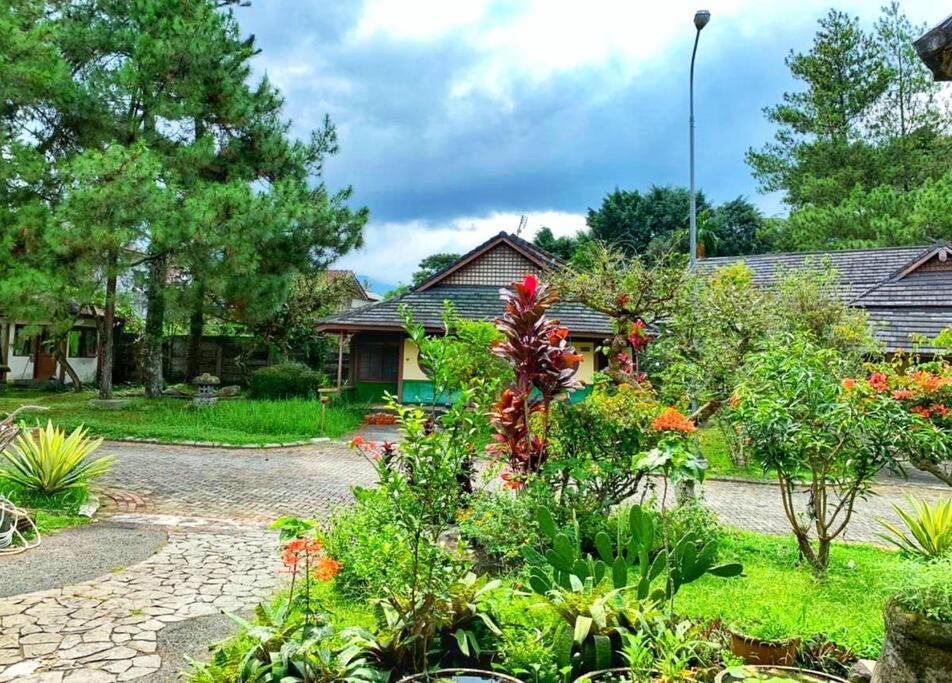 Designer Villa Osaka Пунчак Экстерьер фото