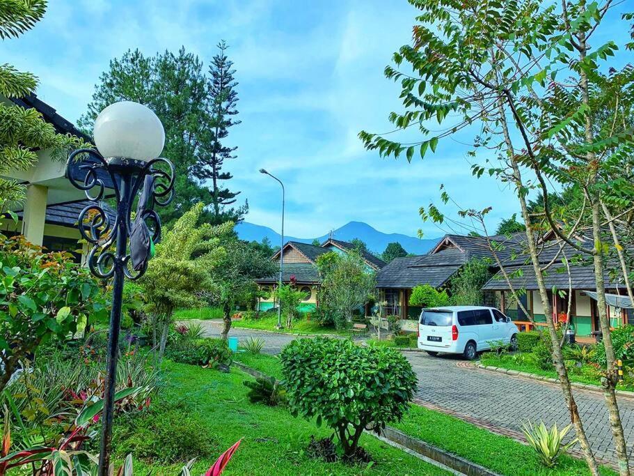 Designer Villa Osaka Пунчак Экстерьер фото