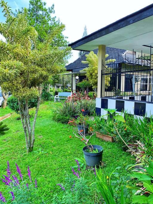 Designer Villa Osaka Пунчак Экстерьер фото