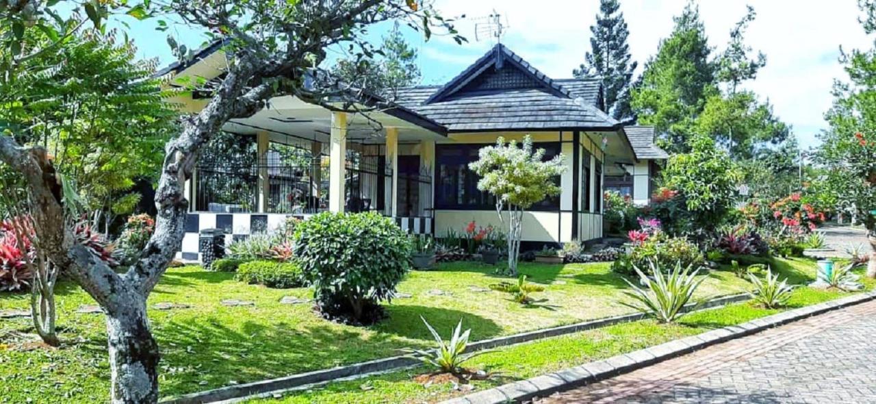 Designer Villa Osaka Пунчак Экстерьер фото